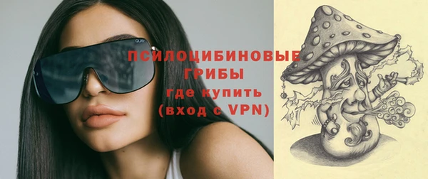 спиды Инта