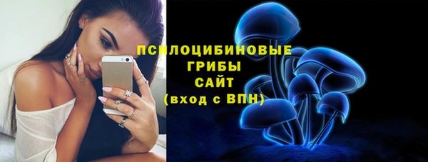 амф Зерноград