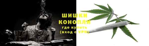спиды Инта