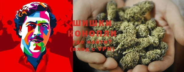 амф Зерноград
