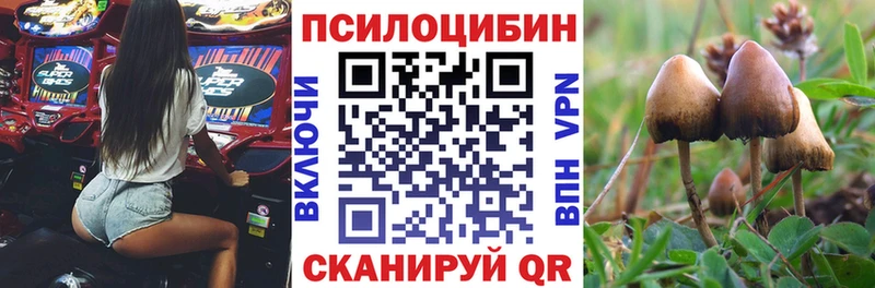 Псилоцибиновые грибы мухоморы  купить наркоту  Инта 